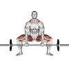 Упражнение: становая тяга «сумо»