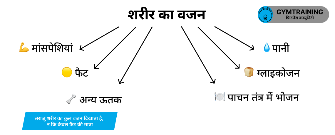 शरीर का वज़न किससे बनता है: फैट, मांसपेशियां, पानी, ग्लाइकोजन, पेट में मौजूद भोजन