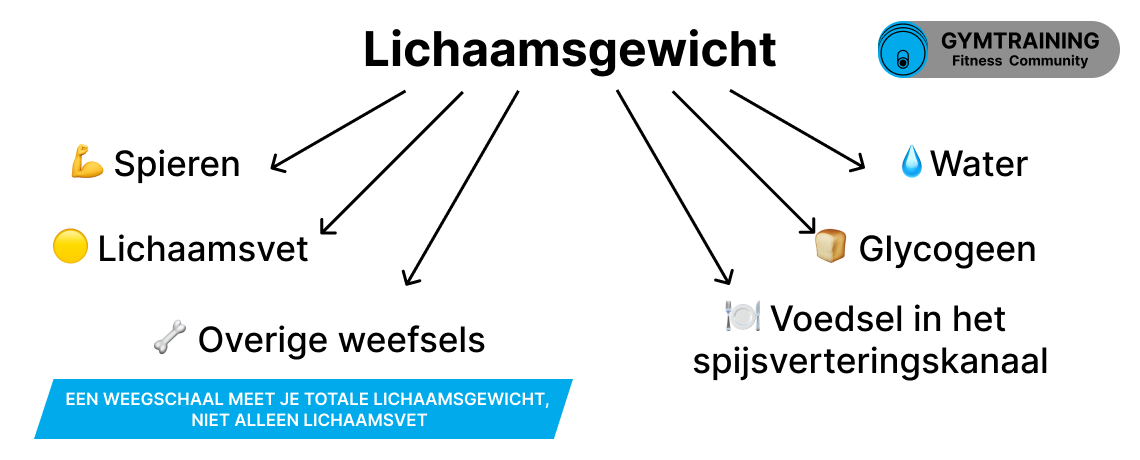 Waaruit lichaamsgewicht bestaat: vet, spieren, water, glycogeen, voedsel in het maagdarmkanaal