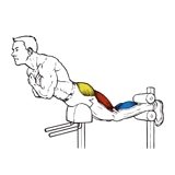 Exercise: Hyperextension
