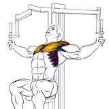 Exercise: Pec Deck Fly
