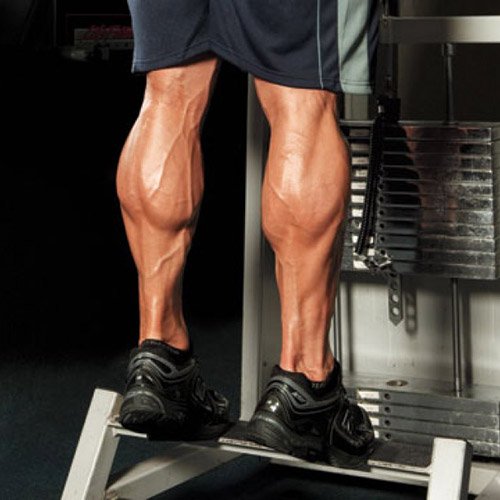How to build calves