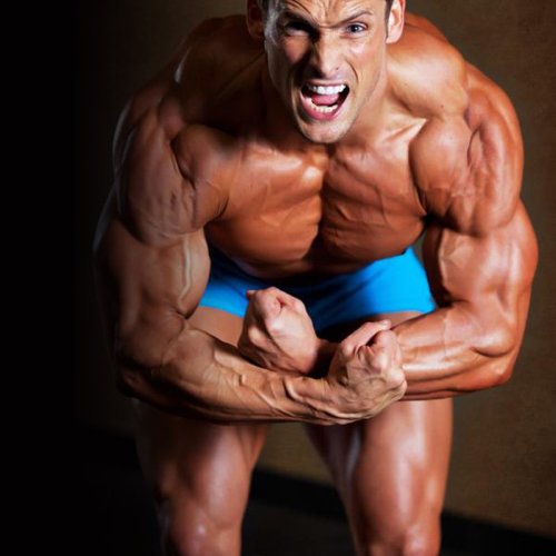 Shredding Serious Fat Without Losing Muscle