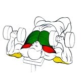 Exercise:  Horizontal Dumbbell Bench Press