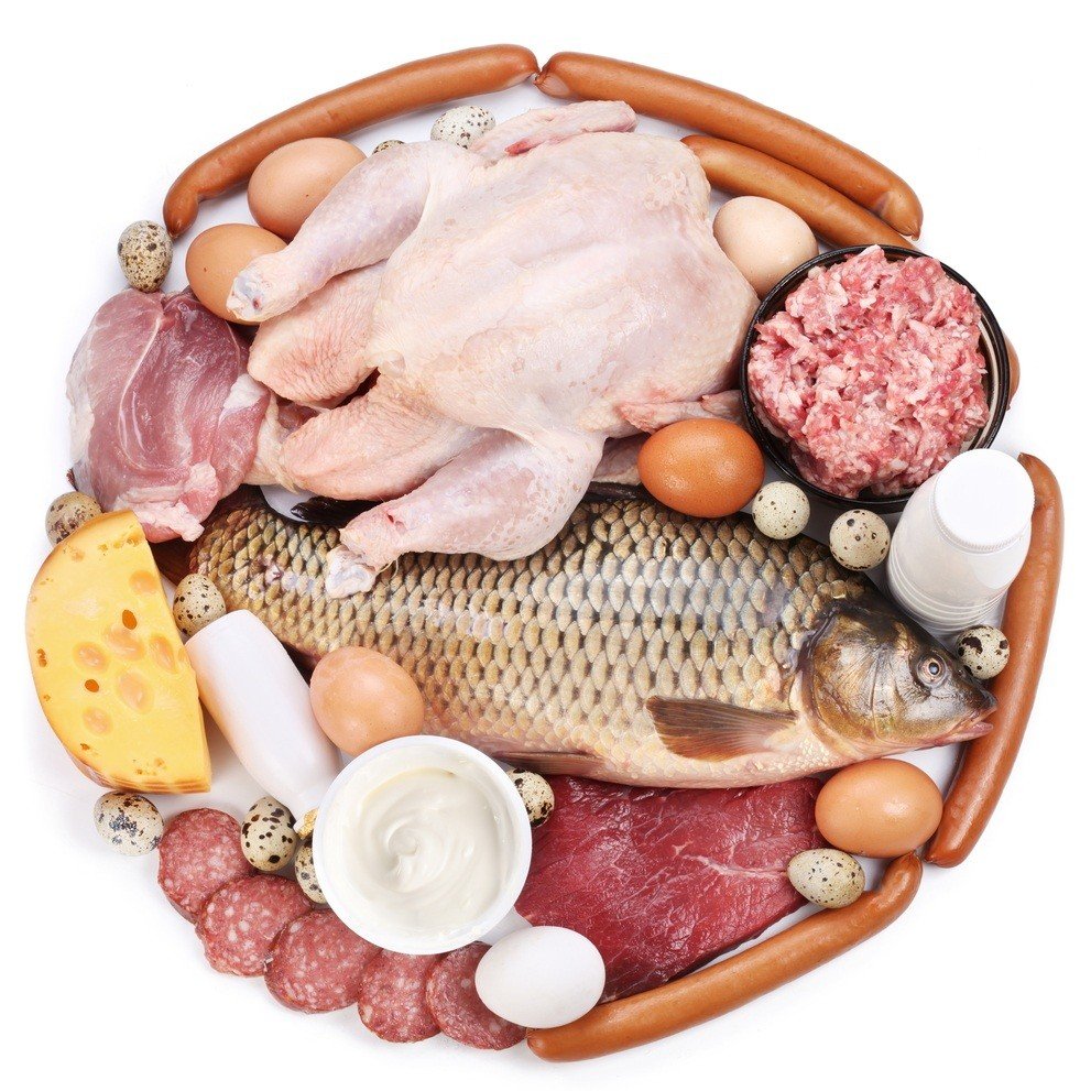 Los 10 mejores alimentos con proteína