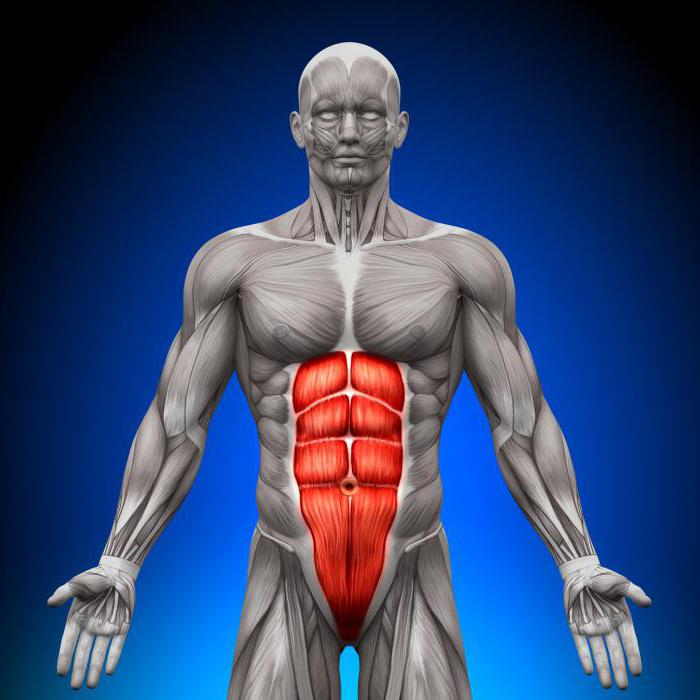 Roll up: Ejercicio para entrenar los abdominales en casa