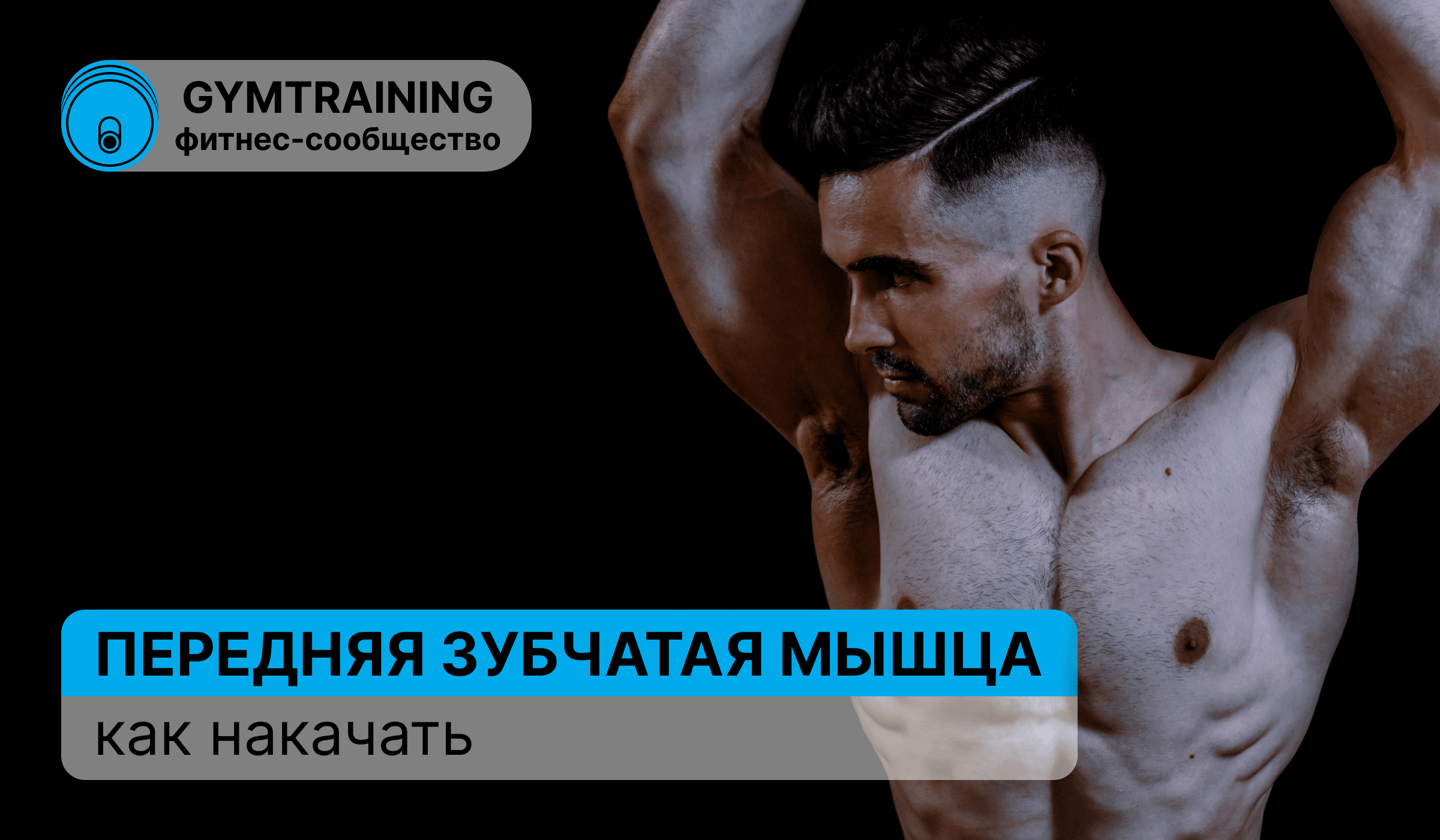Передняя зубчатая мышца. Как накачать?