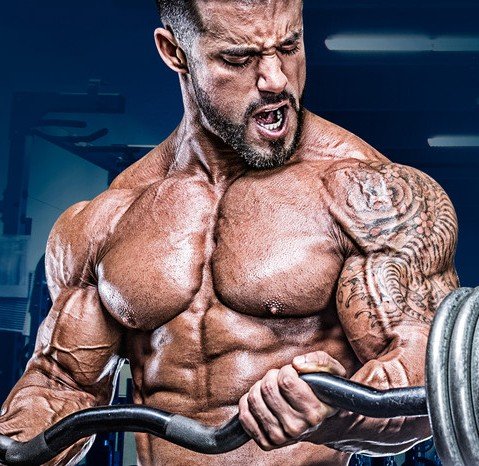Strategic Arm Training For Massive Gains