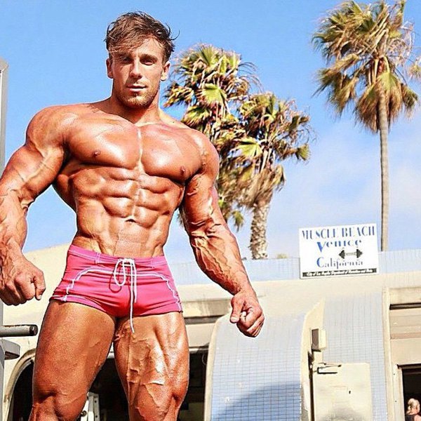 Catabolismo muscular: ¿Qué es?