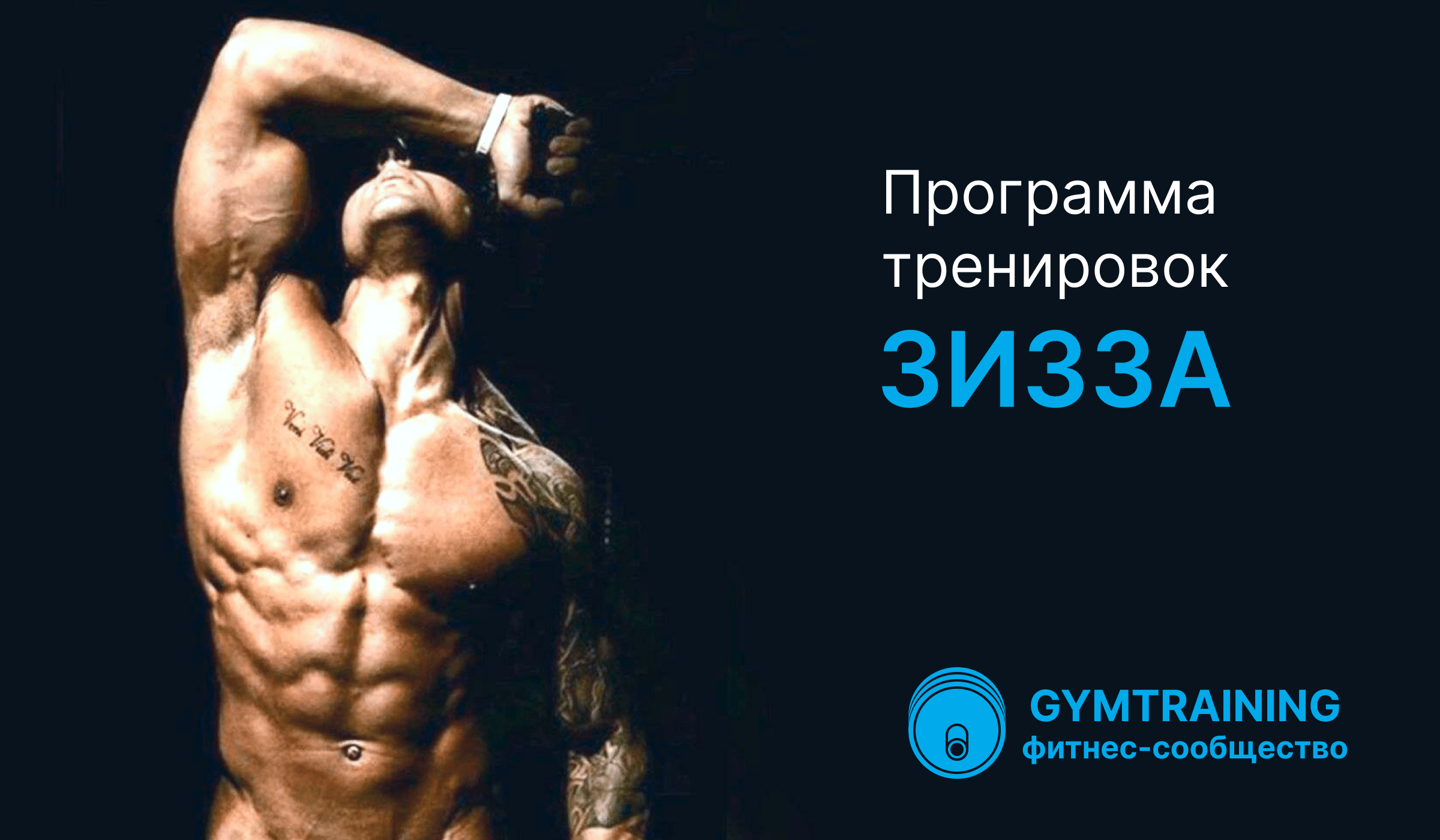 Программа тренировок Зизза