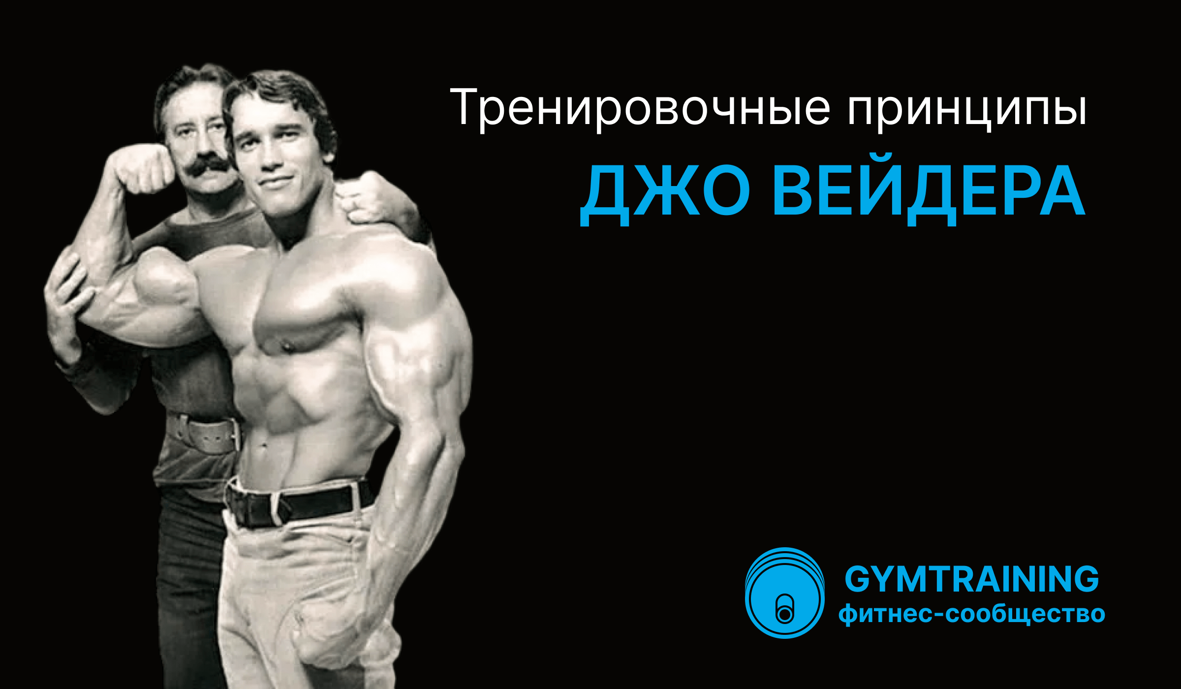 Тренировочные принципы Джо Вейдера