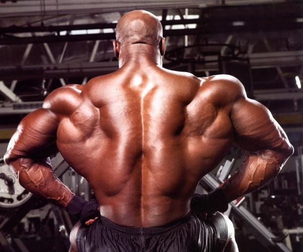 Mass Building Back Workout