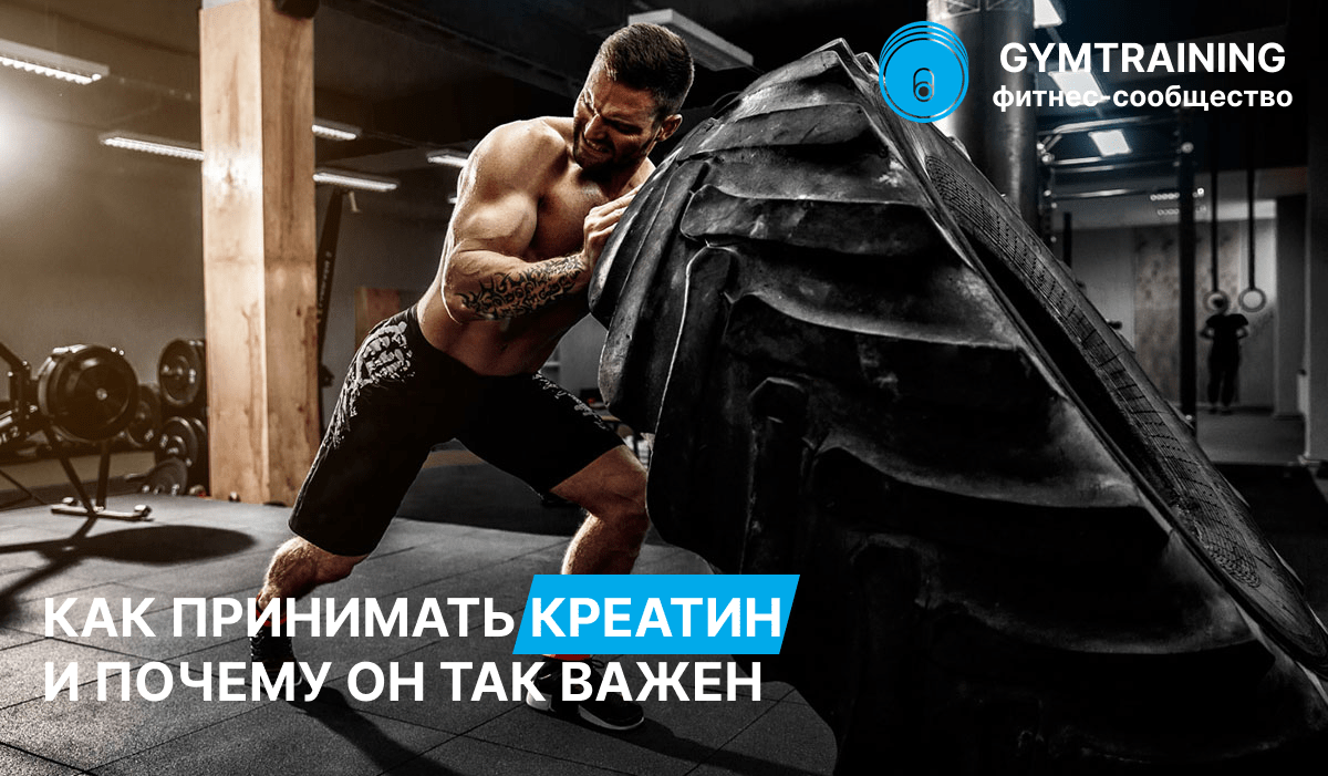 Как принимать креатин и почему он так важен