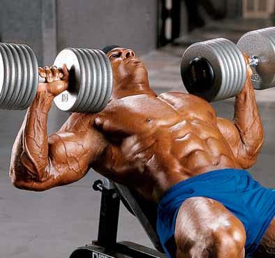 Four effective Chest Exercises