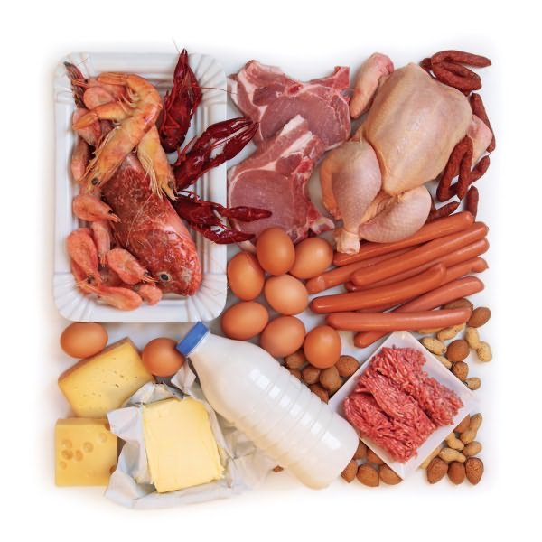 10 продуктов с большим содержанием белка