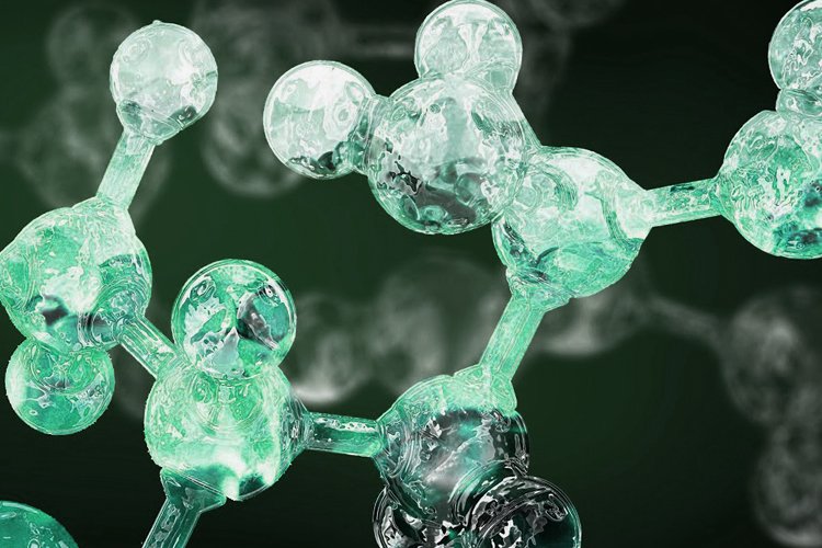 Non-essential and essential Amino Acids