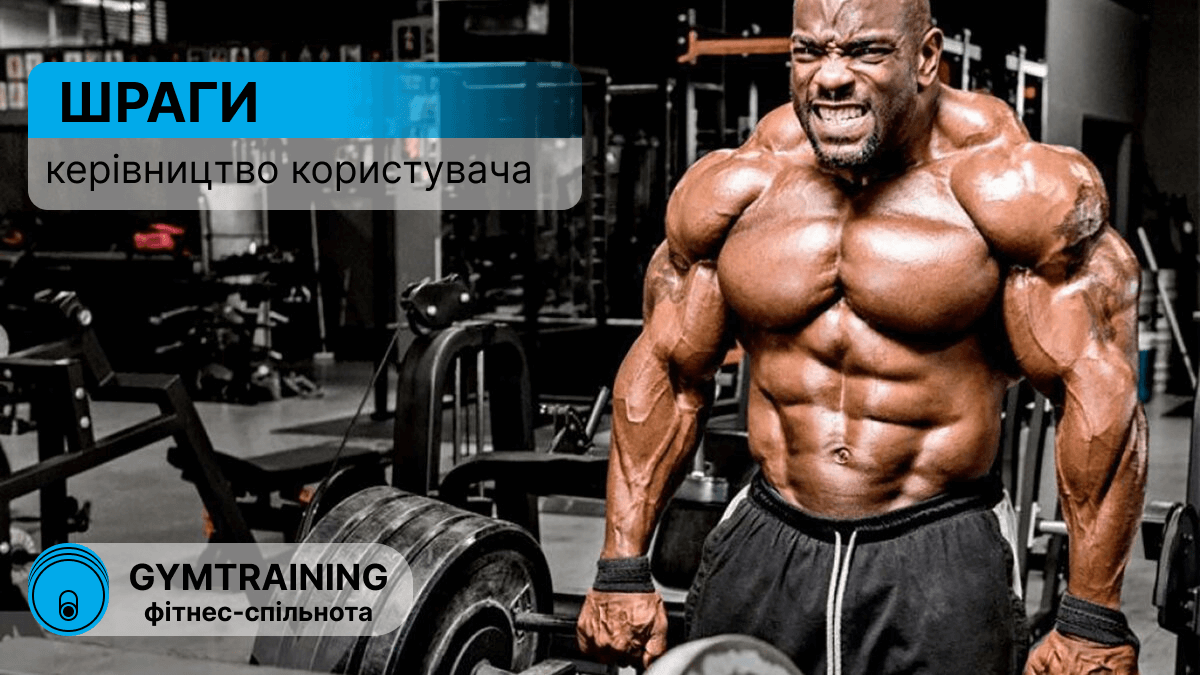 Шраги. Керівництво користувача