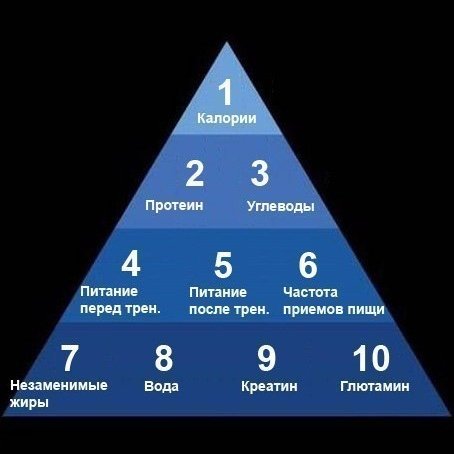 Пирамида мышечного роста
