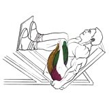 Exercise: 45 Degree Leg Press