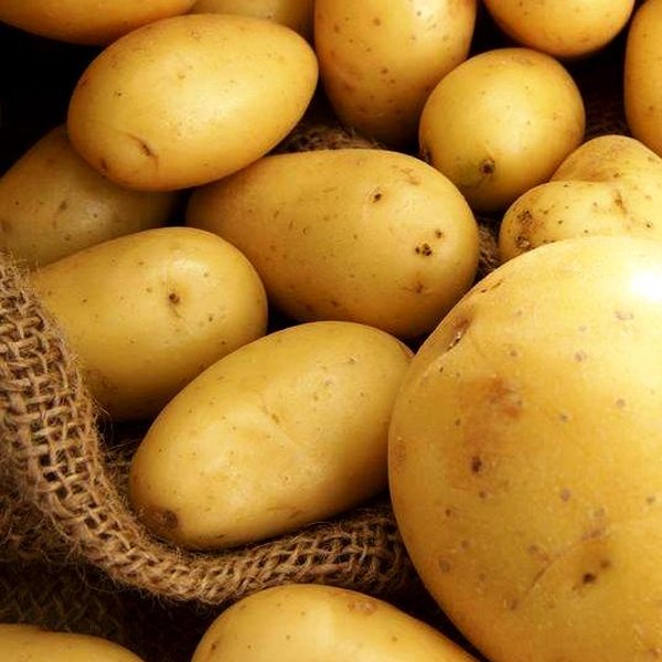 5 फूड जिन्हें फ्रिज में रखना है बेकार