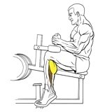 Exercise: Seated Calf Raise